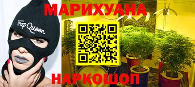 прущие грибы Можга