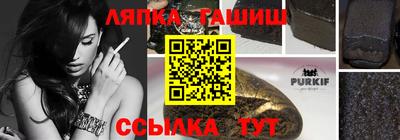 прущие грибы Можга