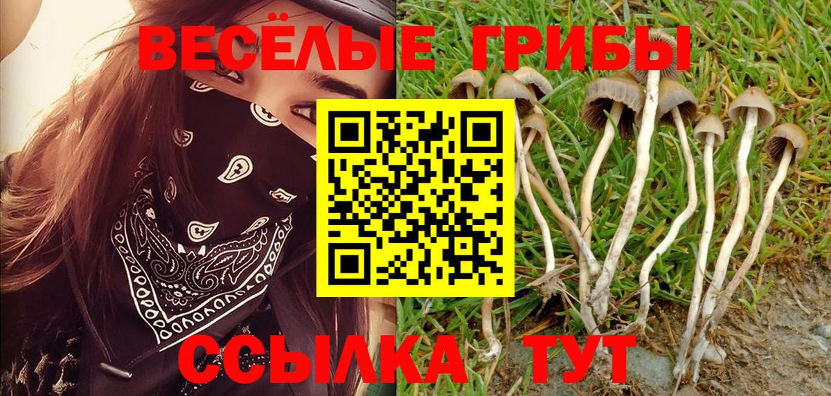 Ухта  Псилоцибиновые грибы Cubensis  Псилоцибиновые грибы прущие грибы  цены наркотик  Вход с VPN 