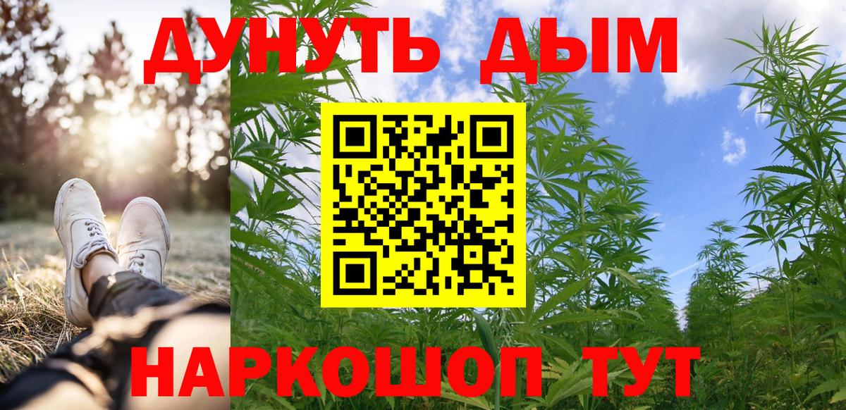 Конопля гибрид Ухта